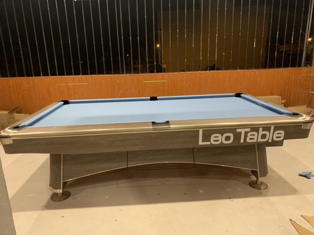 LEO pool table